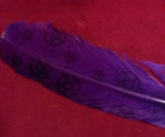 PENTACLE VIOLET  FEATHER